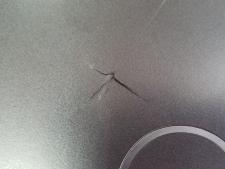 Кришка Dell Latitude 5500 №5